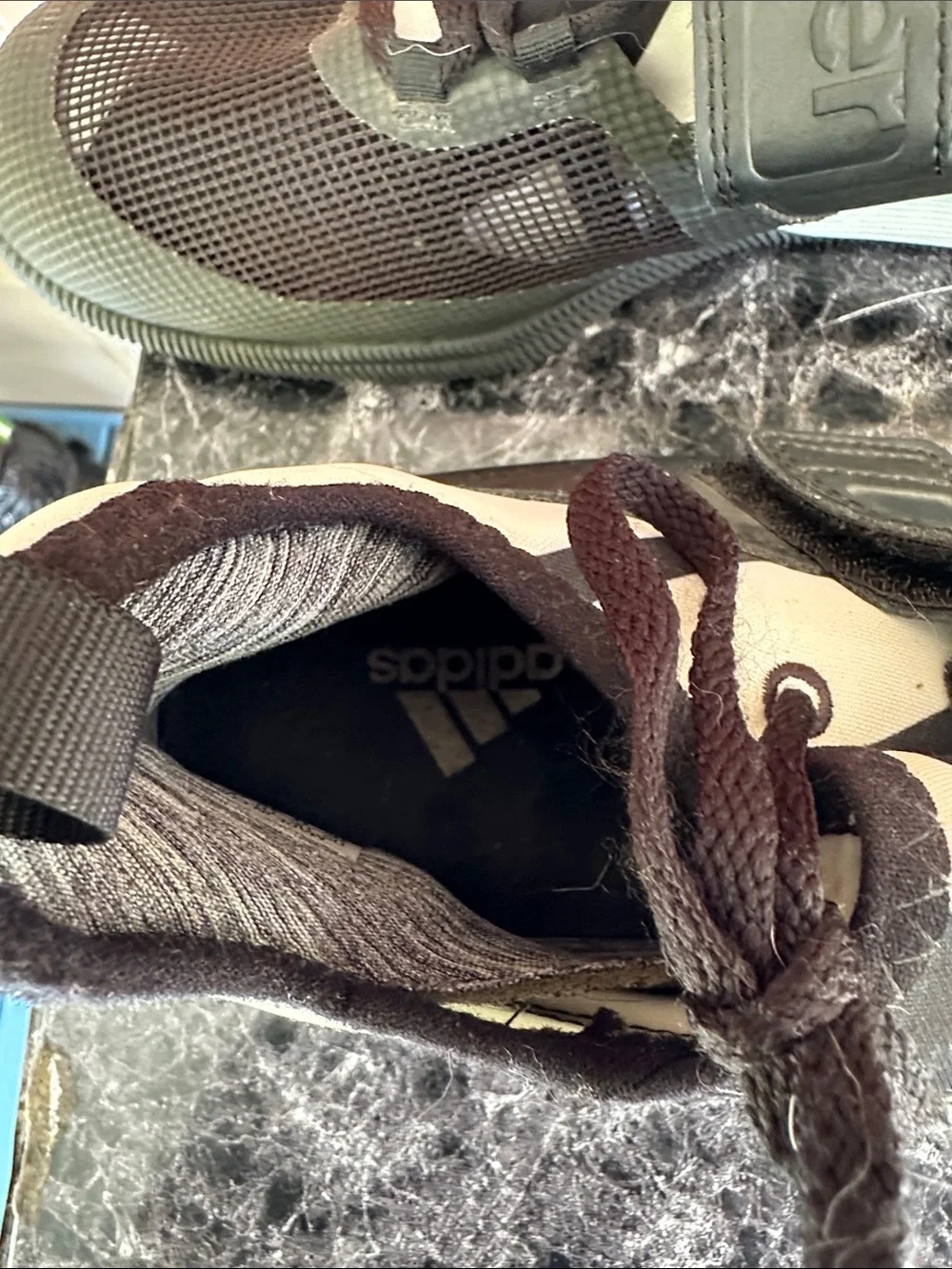 adidas wight lifting